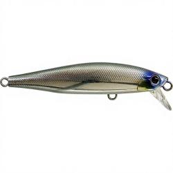 Poisson nageur SMITH Lourdish 05