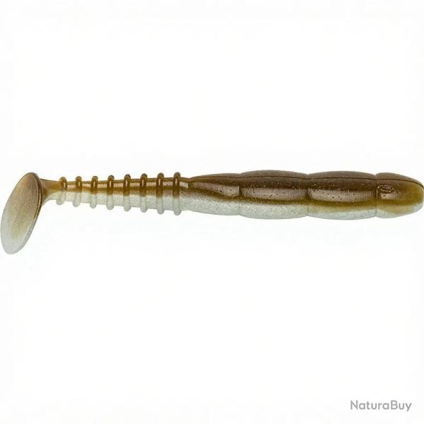 Leurre souple REINS Fat rockvibe shad 6.5 095 Native eel