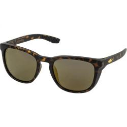 Lunettes polarisantes BIG FISH 1983 Wisp trout gold iridium Brown turtle dark