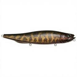 Leurre de surface MEGABASS Megadog X FA Snake head