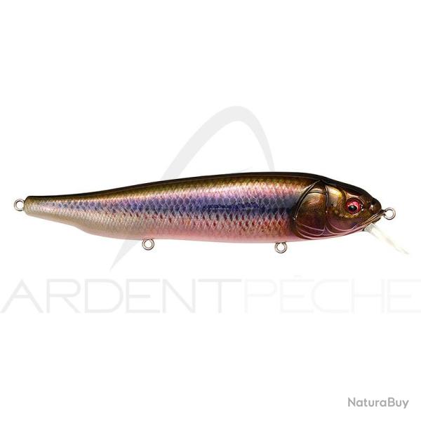 Poisson nageur MEGABASS Lates feedingwoofer FA Kawamutsu