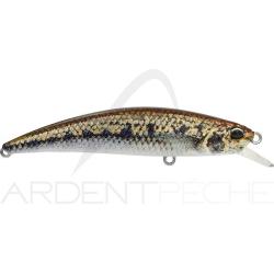 Poisson nageur DUO Spearhead Ryuki 70 F ACCZ114 Goujon