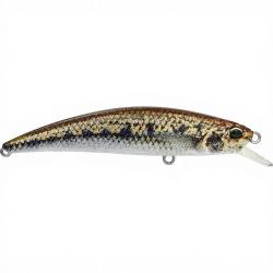 Poisson nageur DUO Spearhead Ryuki 70 F ACCZ114 Goujon