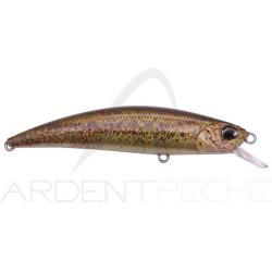 Poisson nageur DUO Spearhead Ryuki 70 F CCCZ214 RP Loach