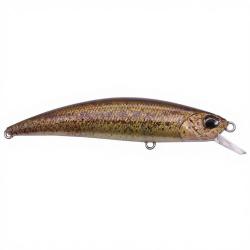 Poisson nageur DUO Spearhead Ryuki 70 F CCCZ214 RP Loach