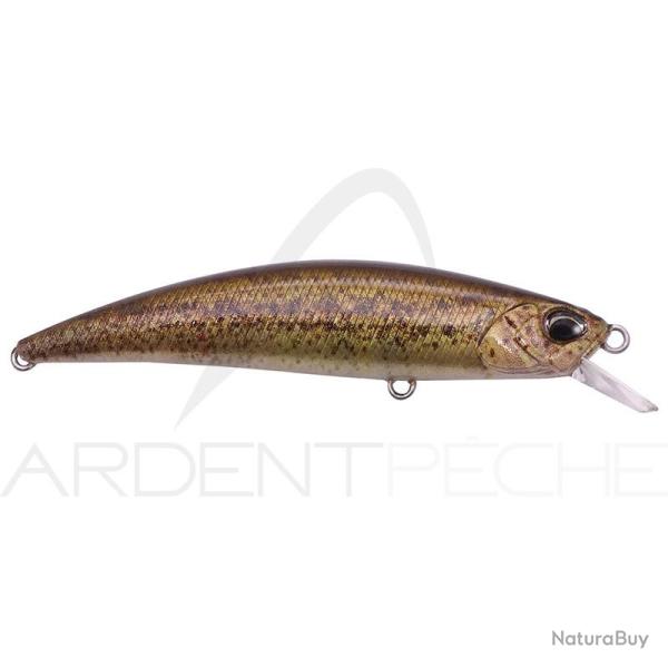 Poisson nageur DUO Spearhead Ryuki 70 F CCCZ214 RP Loach