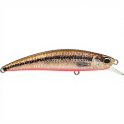 Poisson nageur DUO Spearhead Ryuki 70 F ACC4824 Vairon/Red belly