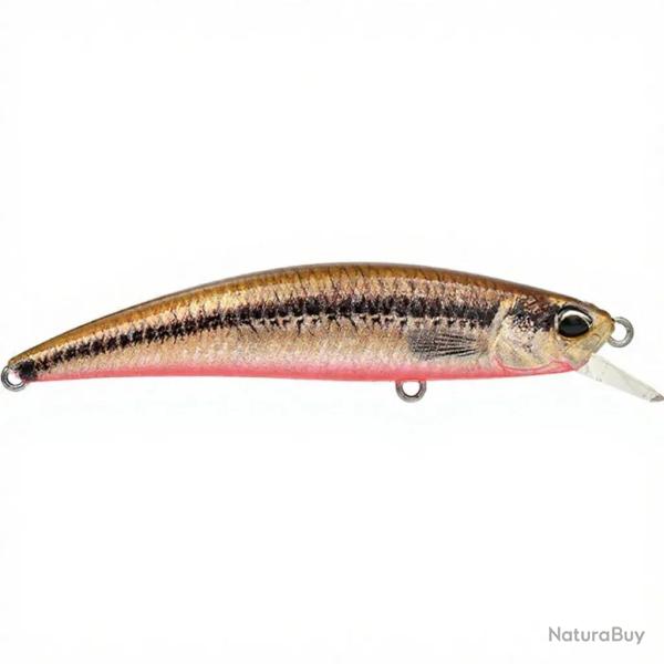 Poisson nageur DUO Spearhead Ryuki 70 F ACC4824 Vairon/Red belly