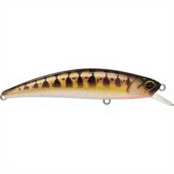 Poisson nageur DUO Spearhead Ryuki 70 F CCCZ431 Vairon UV