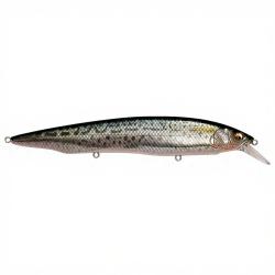 Poisson nageur MEGABASS Kanata SW FA Saba