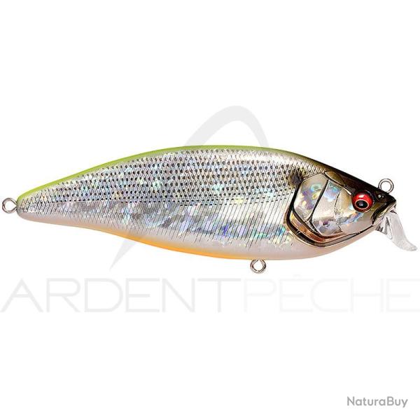 Poisson nageur MEGABASS Konosirus shad GG Chart back konoshiro