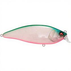 Poisson nageur MEGABASS Konosirus shad PM Bayside green PB