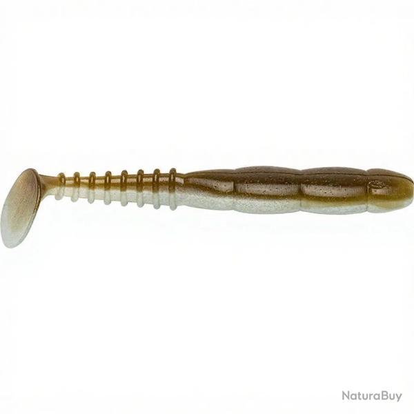 Leurre souple REINS Fat rockvibe shad 5 095 Native eel