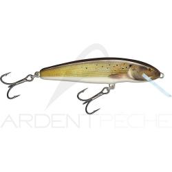 Poisson nageur SALMO Minnow 5 F Grayling