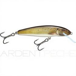 Poisson nageur SALMO Minnow 5 F Grayling
