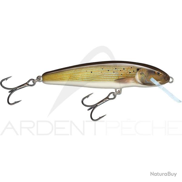 Poisson nageur SALMO Minnow 5 F Grayling