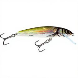 Poisson nageur SALMO Minnow 5 S Holo bleak