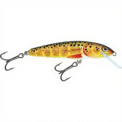 Poisson nageur SALMO Minnow 6 F Trout