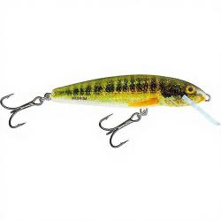 Poisson nageur SALMO Minnow 6 F Holo real minnow