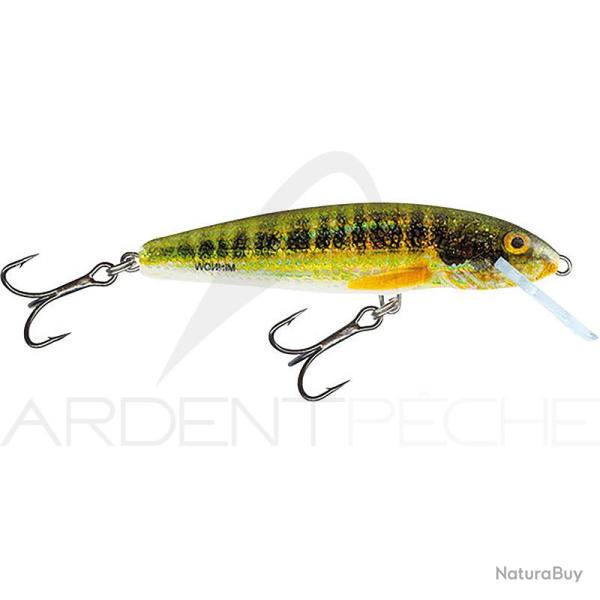 Poisson nageur SALMO Minnow 6 F Holo real minnow