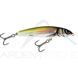 Poisson nageur SALMO Minnow 6 S Holo bleak