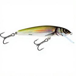 Poisson nageur SALMO Minnow 6 S Holo bleak