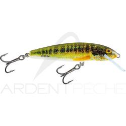 Poisson nageur SALMO Minnow 6 S Holo real minnow