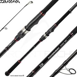 Canne spinning DAIWA Powermesh seabass 420 H FSAF
