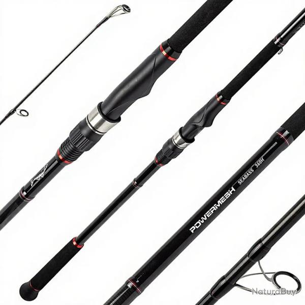 Canne spinning DAIWA Powermesh seabass 420 H FSAF