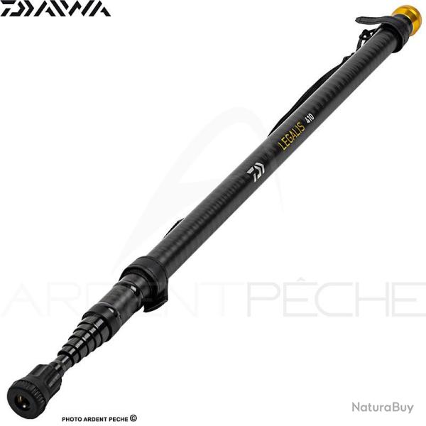 Manche d��puisette DAIWA Legalis iso 23 4.10m
