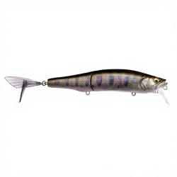 Swimbait MEGABASS Gorham 147 F FA Amago