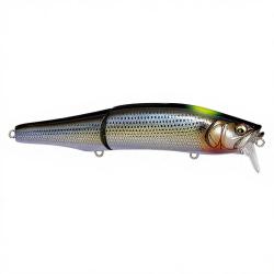 Swimbait MEGABASS Gorham 147 F SW Wagin konoshiro indicator