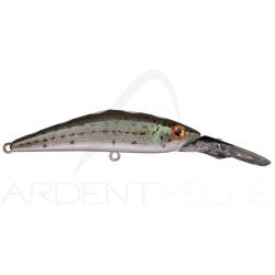 Poisson nageur SMITH D Direct 55 11