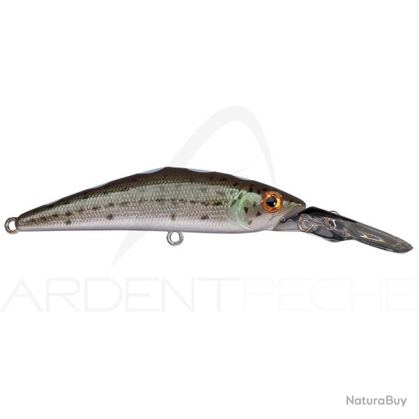 Poisson nageur SMITH D Direct 55 11