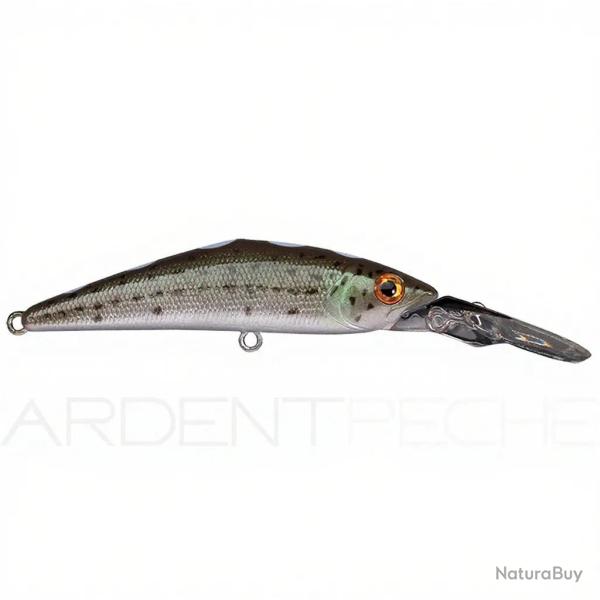 Poisson nageur SMITH D Direct 55 11