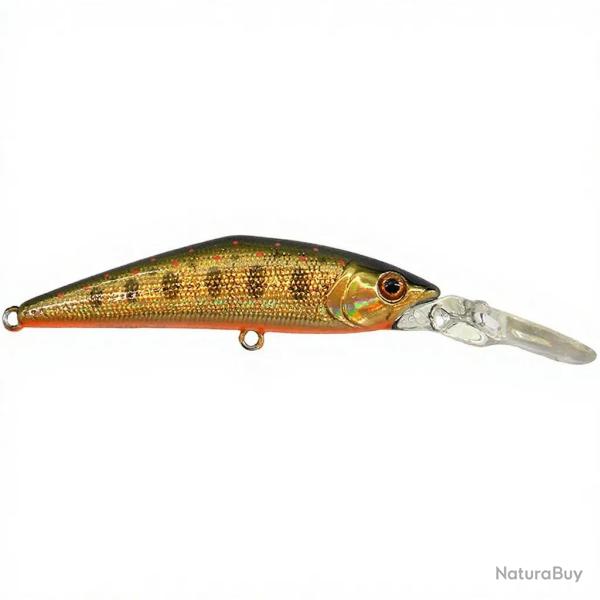 Poisson nageur SMITH D Direct 55 23