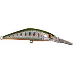 Poisson nageur SMITH D Direct 55 40