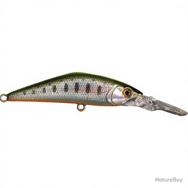 Poisson nageur SMITH D Direct 55 40