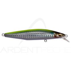 Poisson nageur MEGABASS Marine gang cookai 90 S GG Chart back bora