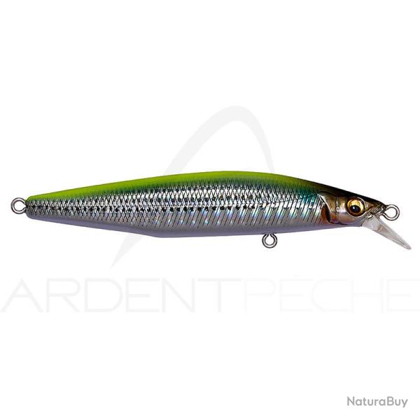 Poisson nageur MEGABASS Marine gang cookai 90 S GG Chart back bora