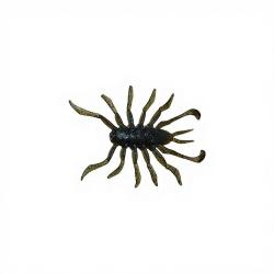 Leurre souple ILLEX RV Bug 1.5 Dark green pumpkin blue