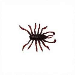 Leurre souple ILLEX RV Bug 1.5 Cola citras flake