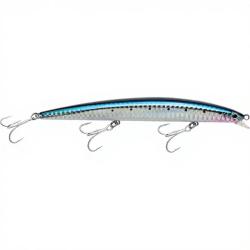 Poisson nageur SMITH Haluca 145 F 02