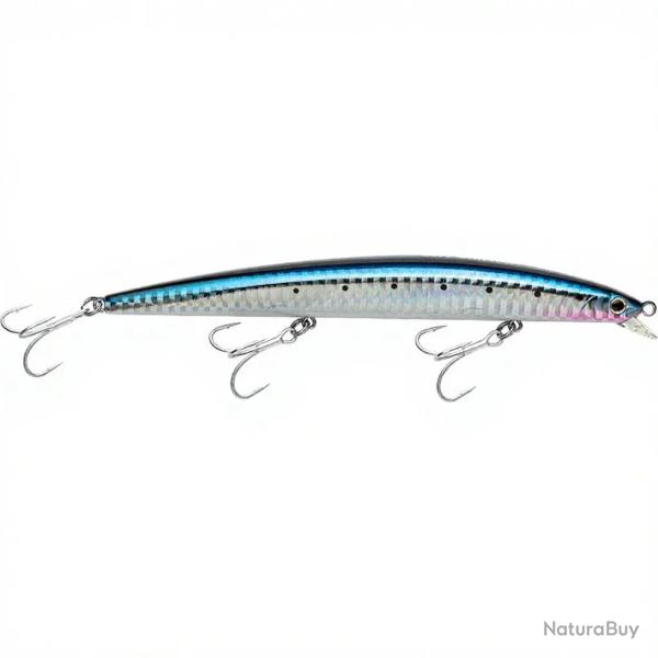 Poisson nageur SMITH Haluca 145 F 02