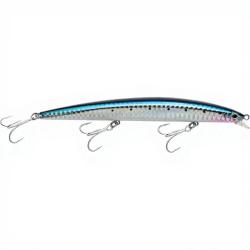 Poisson nageur SMITH Haluca 145 S 02