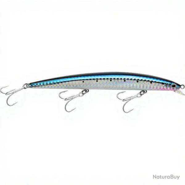 Poisson nageur SMITH Haluca 145 S 02