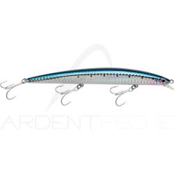 Poisson nageur SMITH Haluca 165 S 02