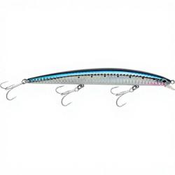 Poisson nageur SMITH Haluca 165 S 02