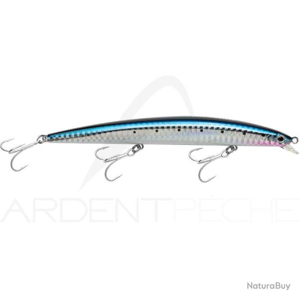 Poisson nageur SMITH Haluca 165 S 02