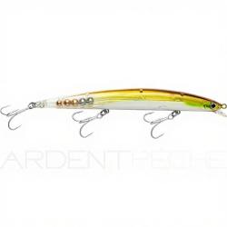 Poisson nageur SMITH Haluca 165 S HA22